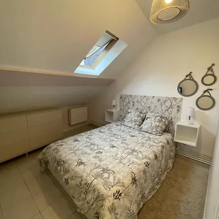 Sanvic - Chaleureux Appartement *