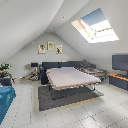 Apartment Sanvic - Chaleureux *
