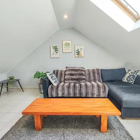 Apartment Sanvic - Chaleureux *